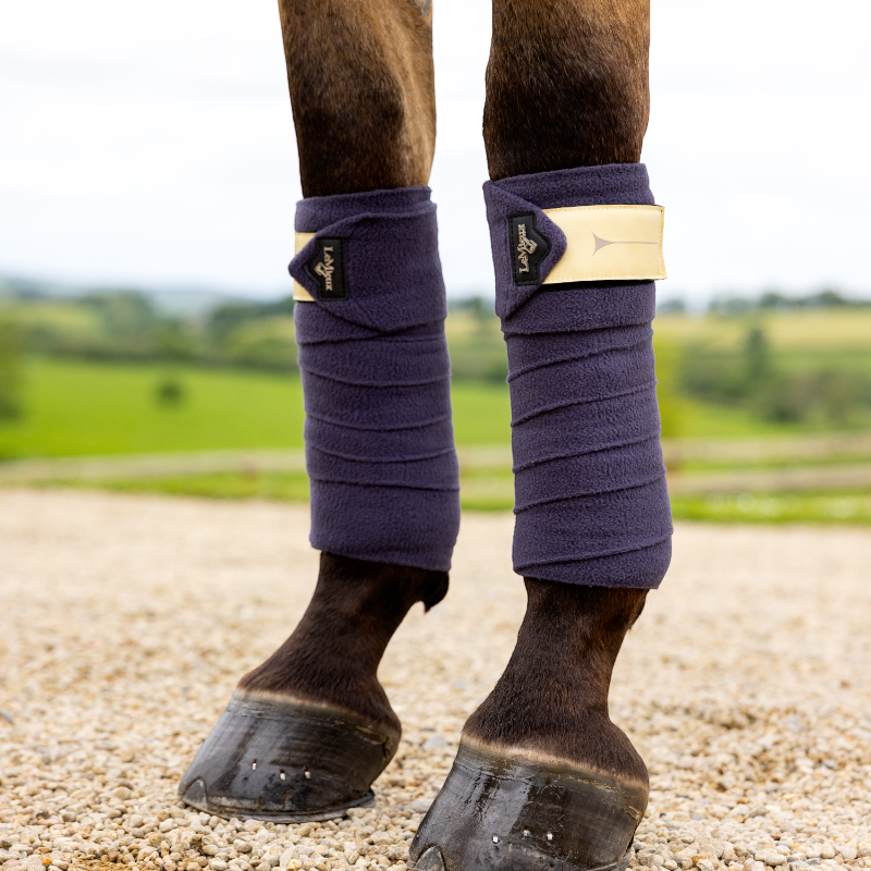 Lemieux - Bandes de polo dusk blue | - Ohlala