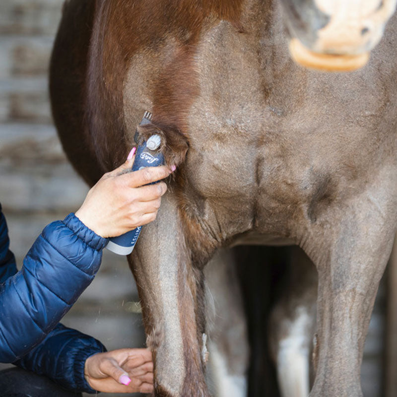 Lister - Tondeuse pour chevaux Eclipse sans fil | - Ohlala