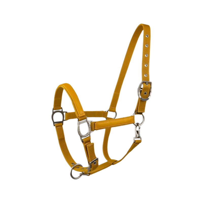 Lami-cell - Licol LC miel doré | - Ohlala