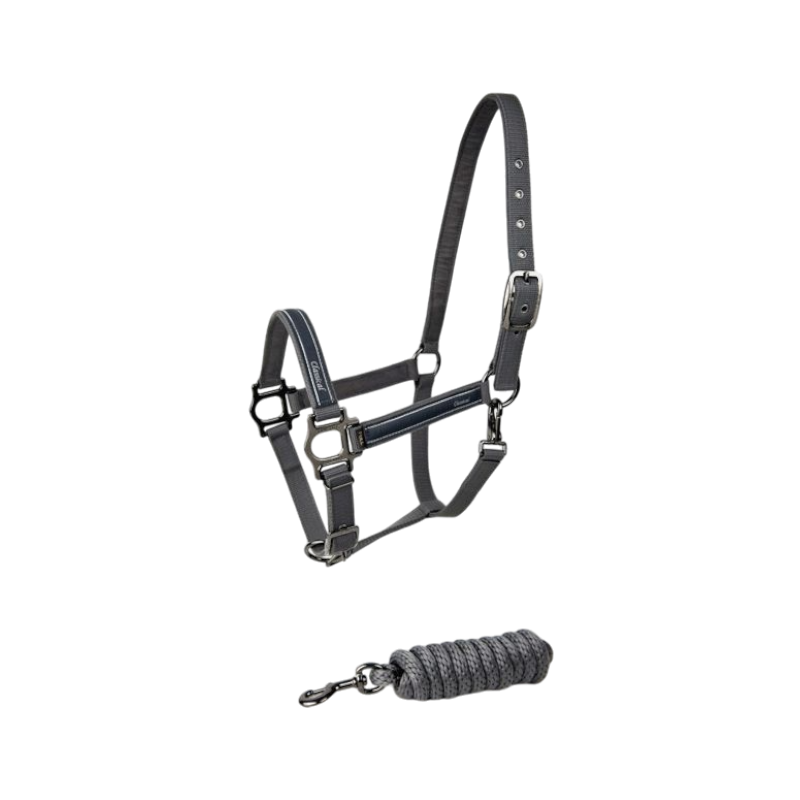 Lami-cell - Licol et longe Classical gris | - Ohlala