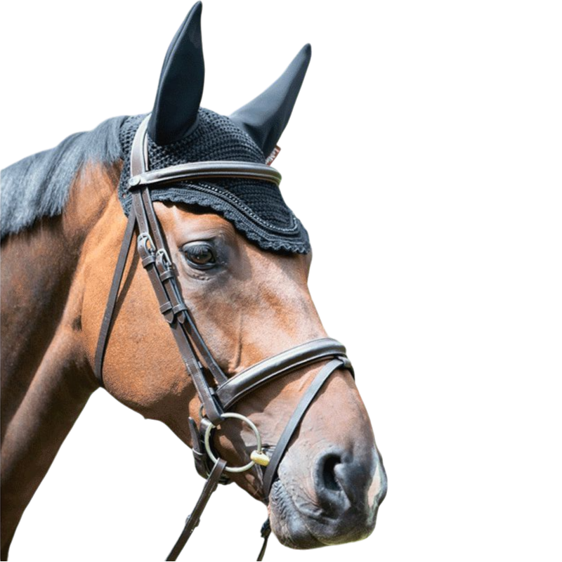 LeMieux - Bonnet anti-bruit Diamante Acoustic noir | - Ohlala