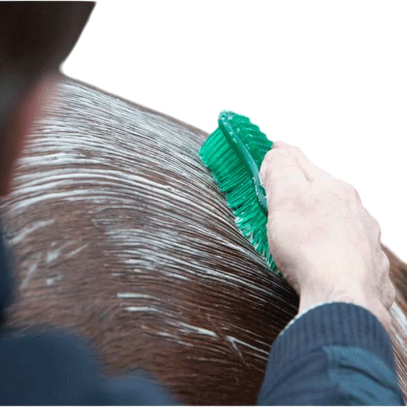 LeMieux - Brosse Hippo Brush vert | - Ohlala