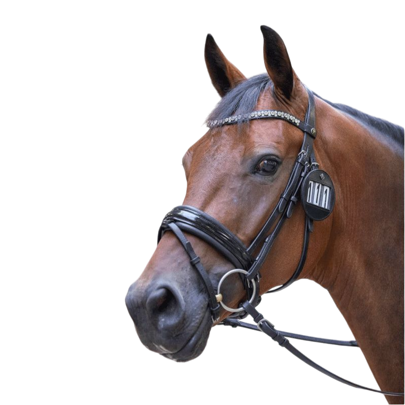 LeMieux - Porte numéro pour bridon en cuir noir | - Ohlala