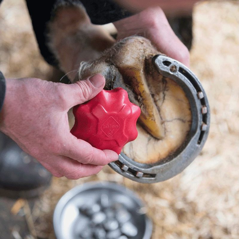 LeMieux - Taraud de sécurité pour crampons noir | - Ohlala