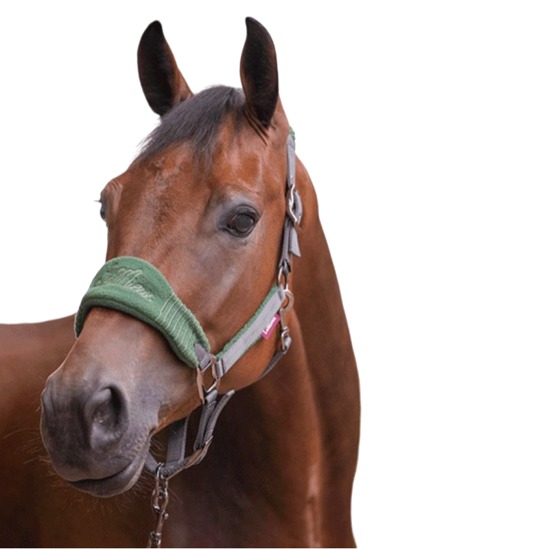 LeMieux - Ensemble licol + longe Vogue gris/ vert | - Ohlala