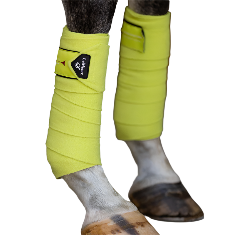 LeMieux - Bandes de polo Classic kiwi (x4) | - Ohlala