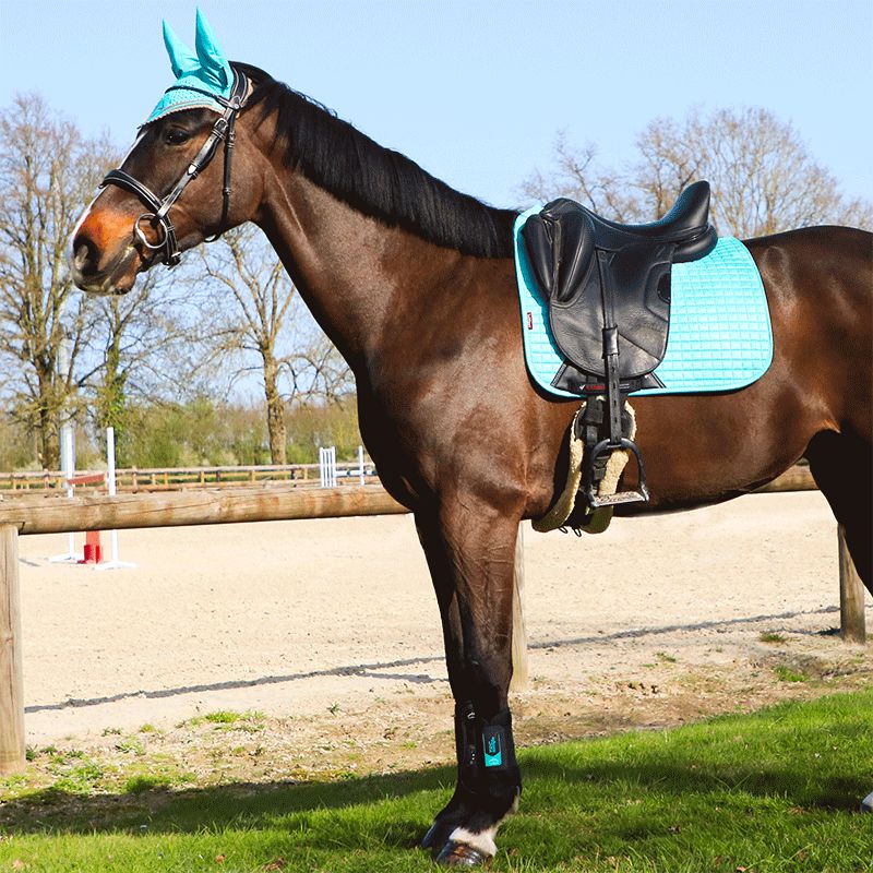 LeMieux - Tapis de dressage Suede Square azur | - Ohlala