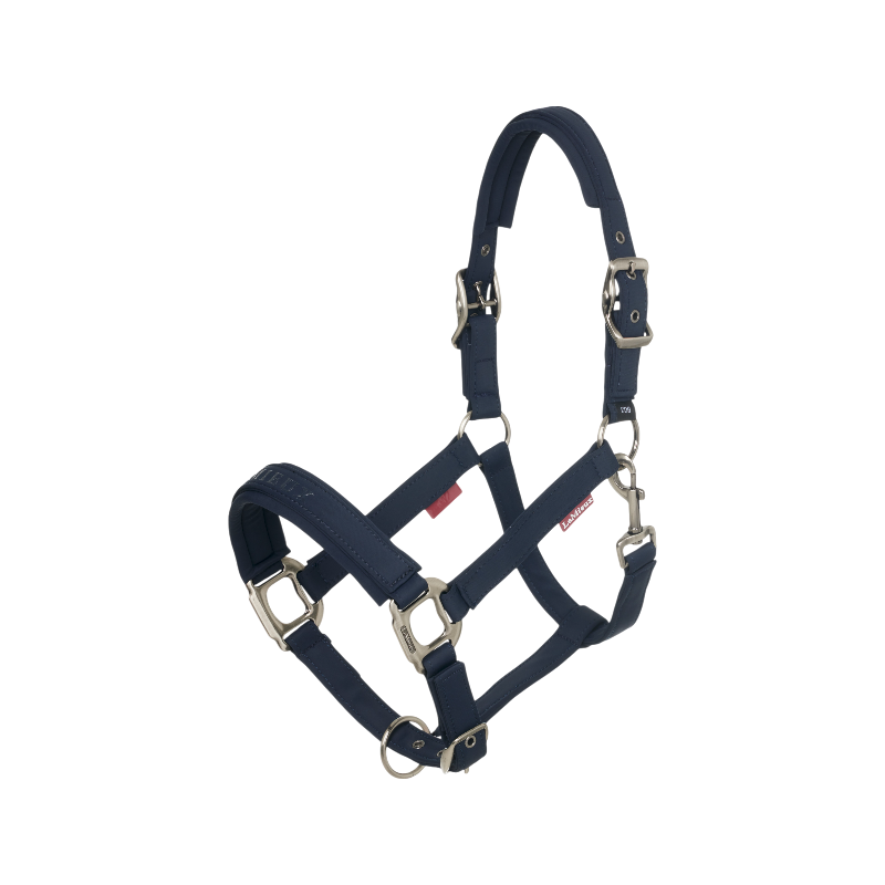 Lemieux - Licol Finesse marine | - Ohlala