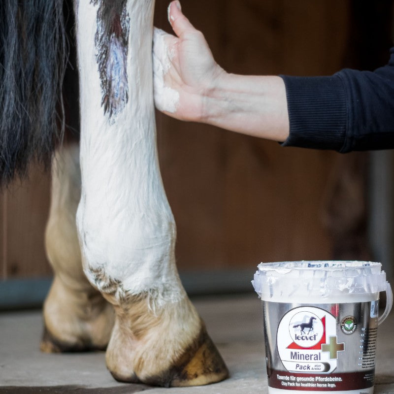 Leovet - Argile rafraîchissante Mineralpack plus à l'arnica | - Ohlala