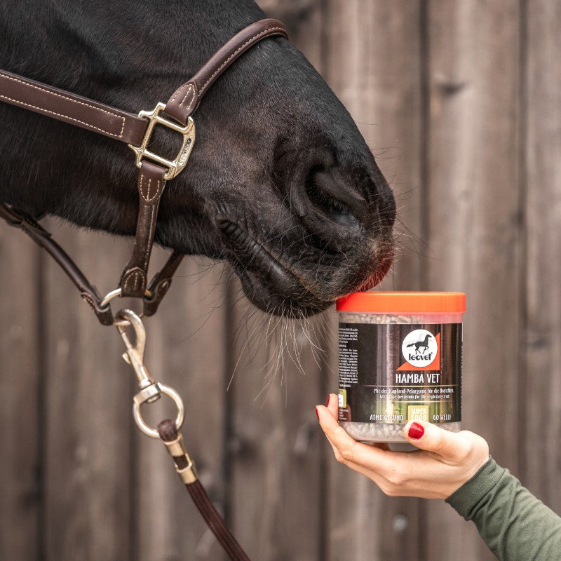Leovet - Compléments alimentaire soutien respiratoire Hamba-Vet | - Ohlala