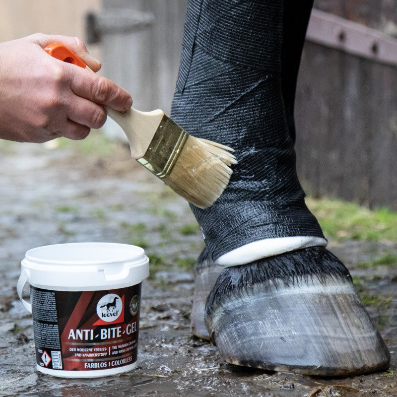 Leovet - Gel anti-mordillement | - Ohlala