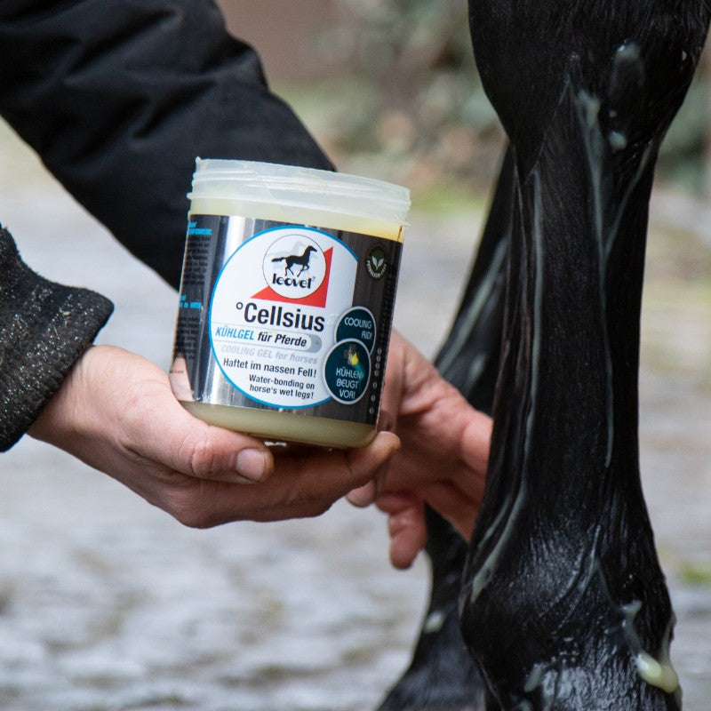 Leovet - Gel refroidissant °Cellsius | - Ohlala