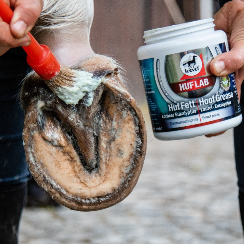 Leovet - Graisse pour sabots régénérant Huflab | - Ohlala