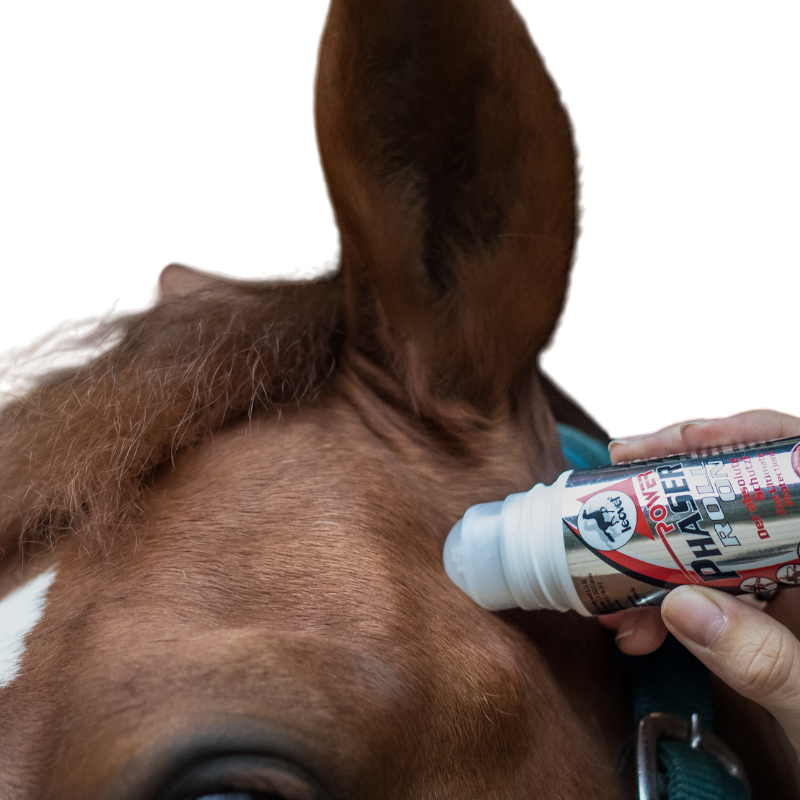 Leovet - Répulsif insectes Power phaser roll'on | - Ohlala