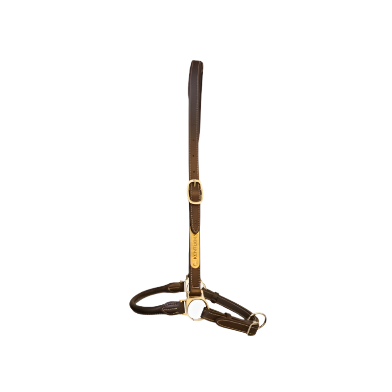 Kentucky Horsewear - Licol de pansage | - Ohlala