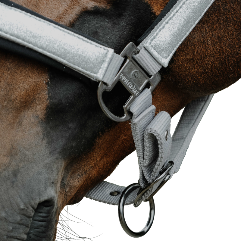 Equithème - Licol en nylon Glowy gris clair/ gris clair