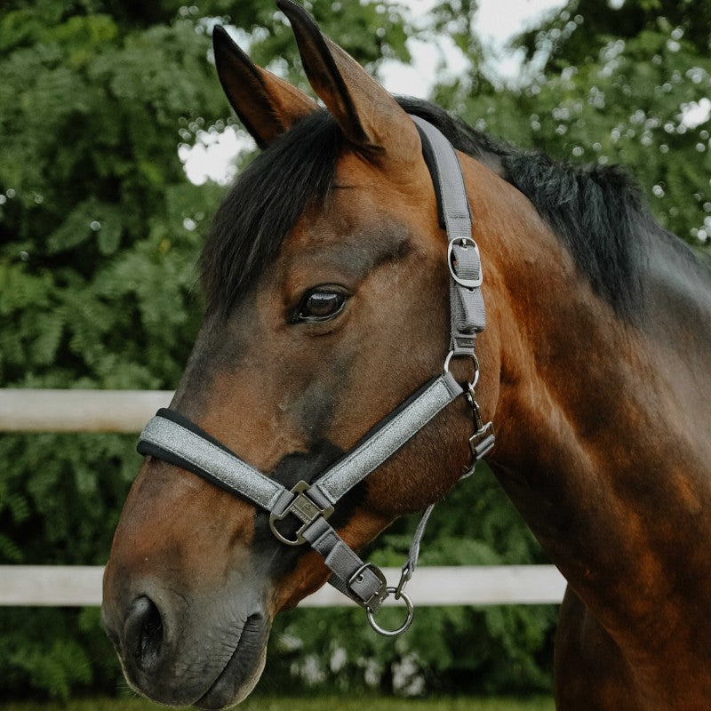 Equithème - Licol en nylon Glowy gris clair/ gris clair