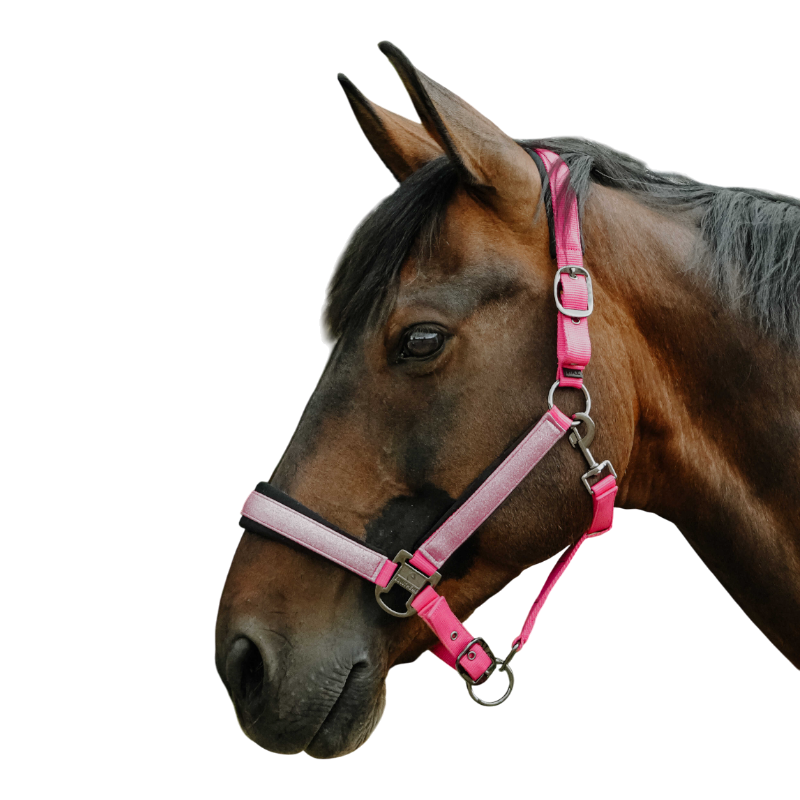 Equithème - Licol en nylon Glowy rose/ rose