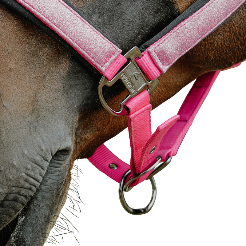 Equithème - Licol en nylon Glowy rose/ rose