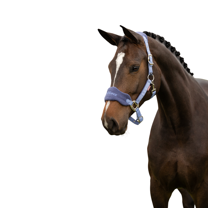 LeMieux - Licol et longe Vogue powder blue | - Ohlala