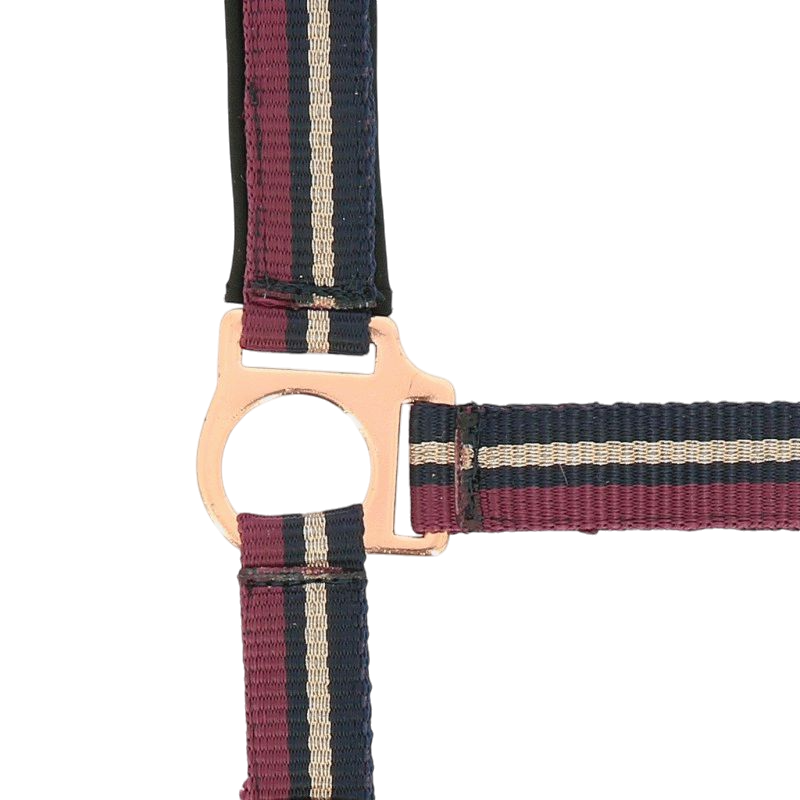 Norton - Licol et longe brillant prune/ marine/ or rose | - Ohlala