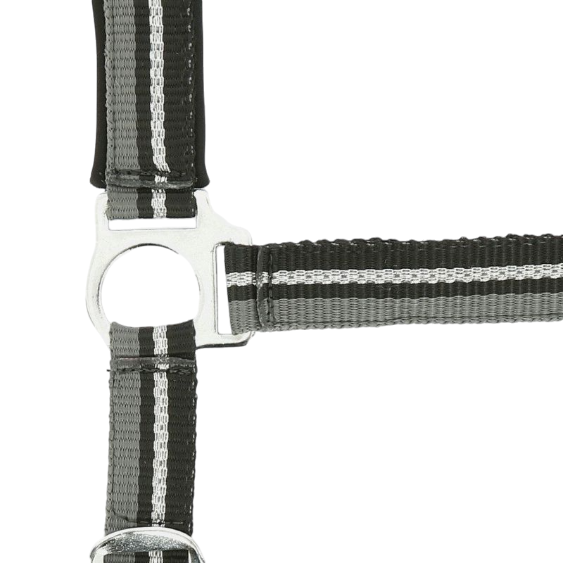 Norton - Licol et longe brillant noir/ gris/ argenté | - Ohlala