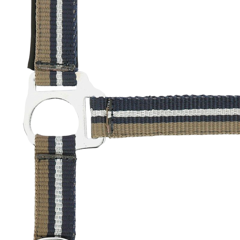 Norton - Licol et longe brillant taupe/ marine/ argenté | - Ohlala