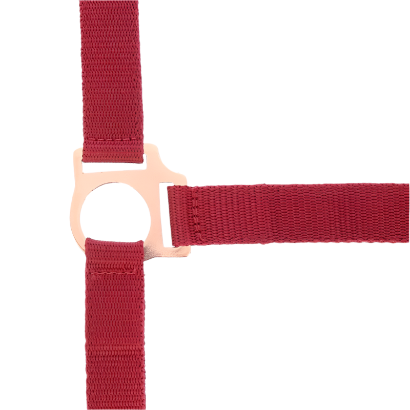 Norton - Licol et longe nylon rose gold/ bordeaux | - Ohlala