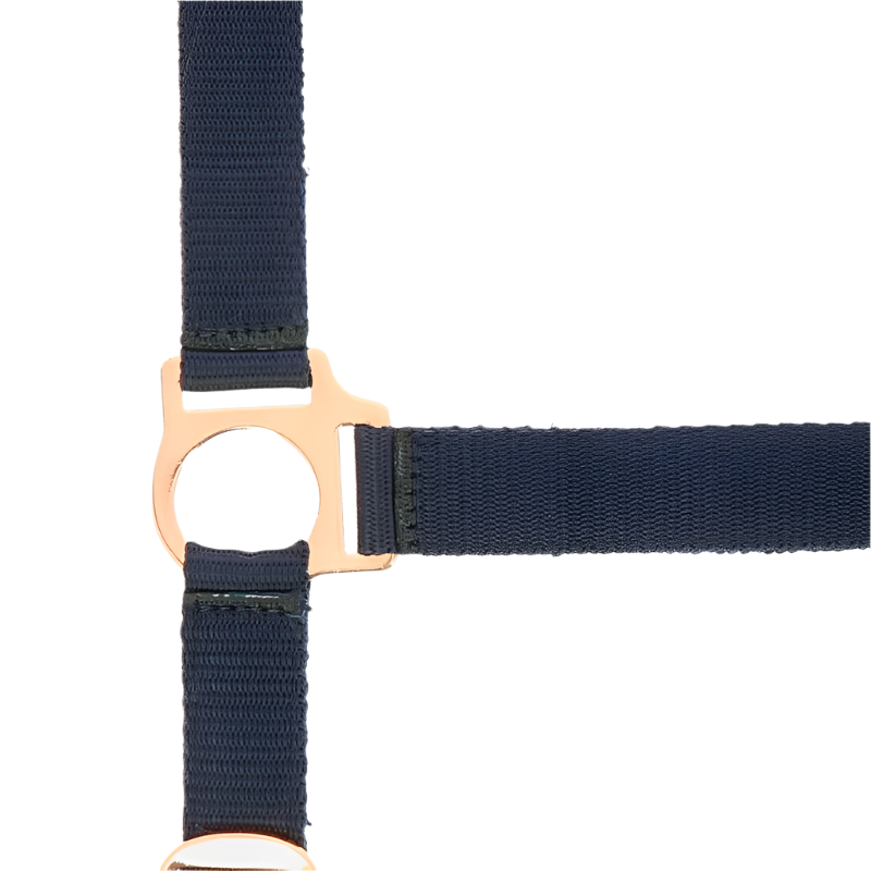 Norton - Licol et longe nylon rose gold/ marine | - Ohlala