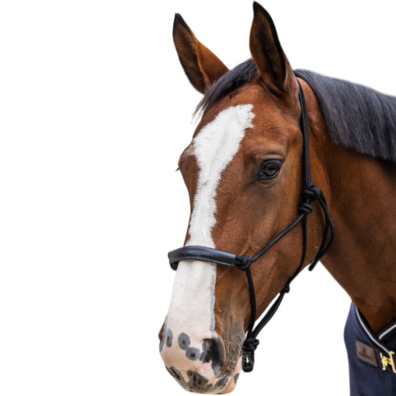 Kentucky Horsewear - Licol éthologique Corde noir | - Ohlala