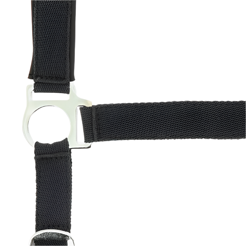 Norton - Licol nylon doublé néoprène noir | - Ohlala