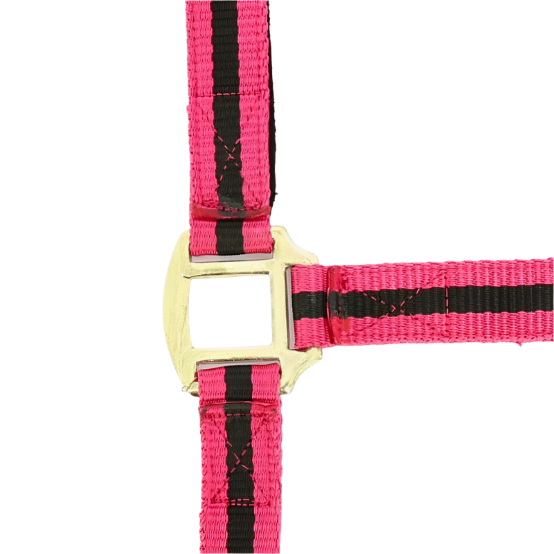 Norton - Licol nylon doublé cuir framboise/ noir | - Ohlala