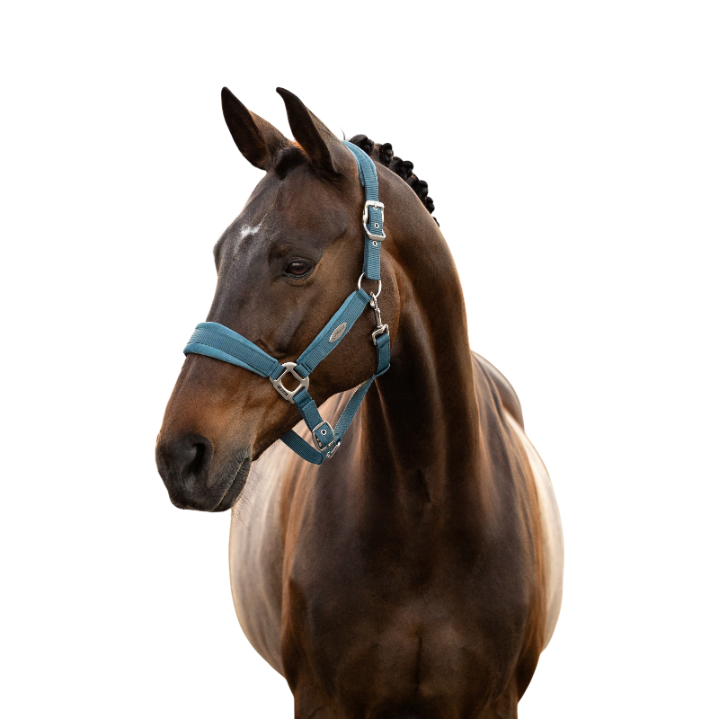 LeMieux - Licol pour chevaux Versailles jungle | - Ohlala