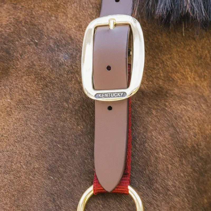 Kentucky Horsewear - Licol nylon Breakaway bordeaux | - Ohlala