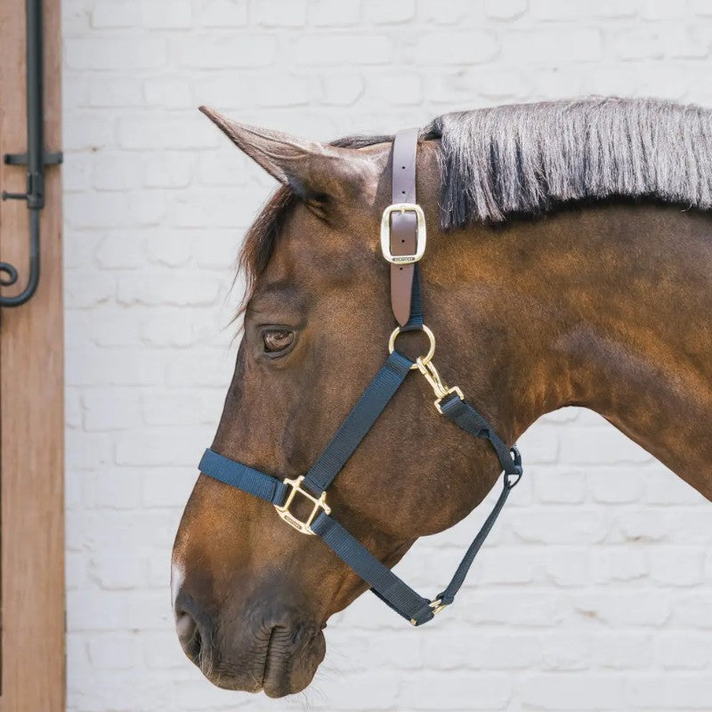 Kentucky Horsewear - Licol nylon Breakaway marine | - Ohlala