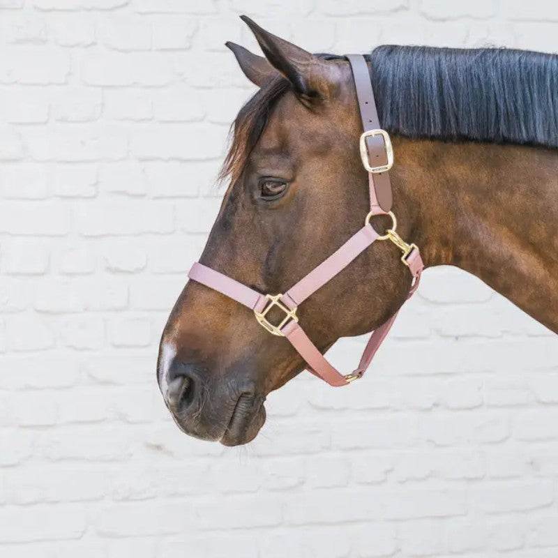 Kentucky Horsewear - Licol nylon Breakaway vieux rose | - Ohlala