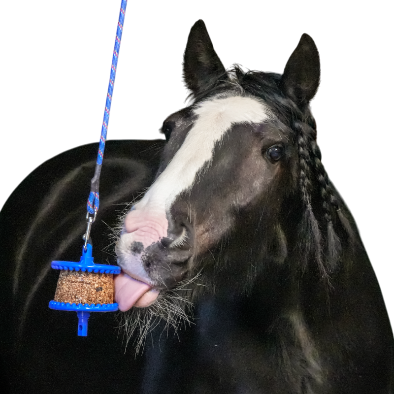 Likit - Friandise pour chevaux pierre granola allégée pomme | - Ohlala