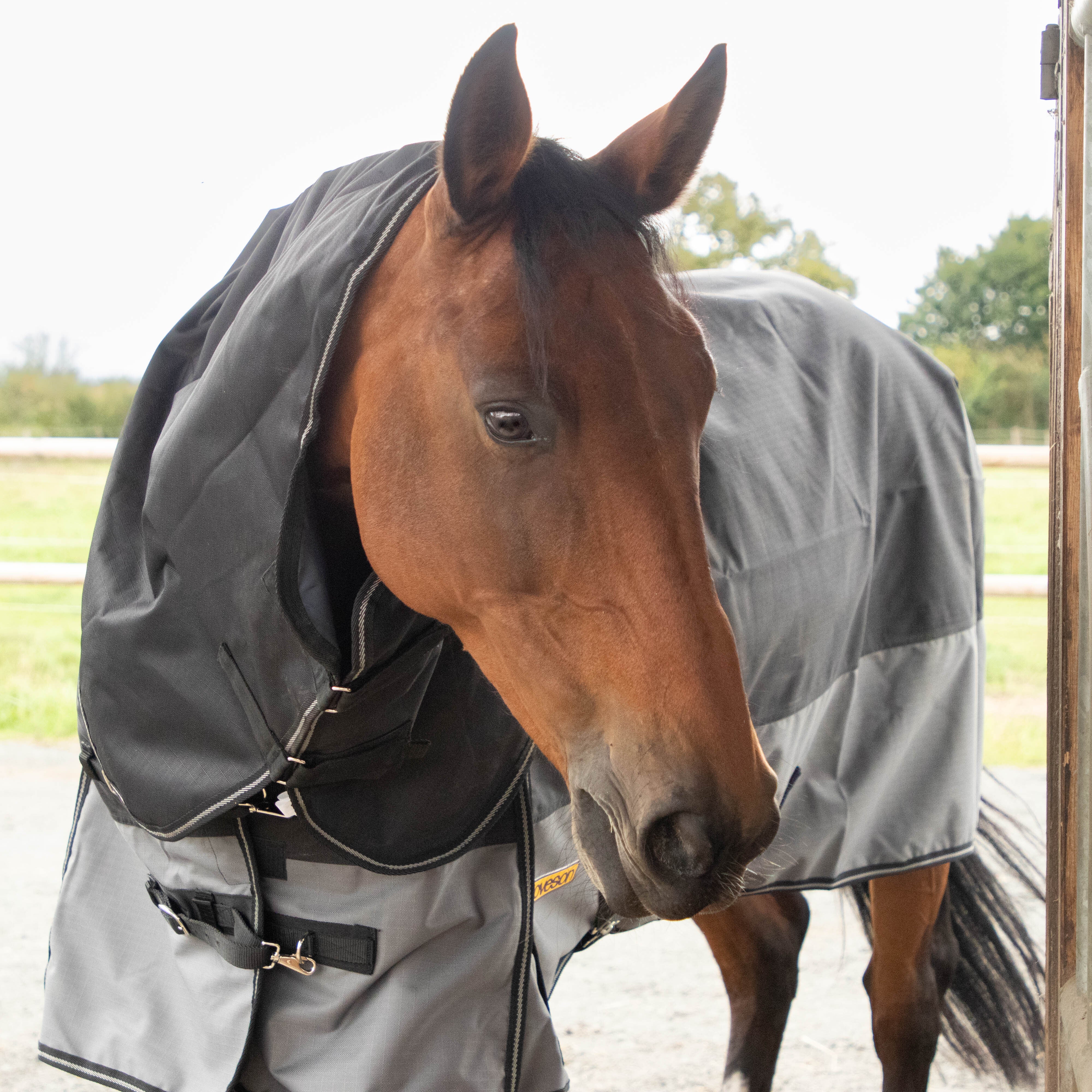 Loveson - Couverture d'extérieur Turnout Plus noir/ gris 300g | - Ohlala