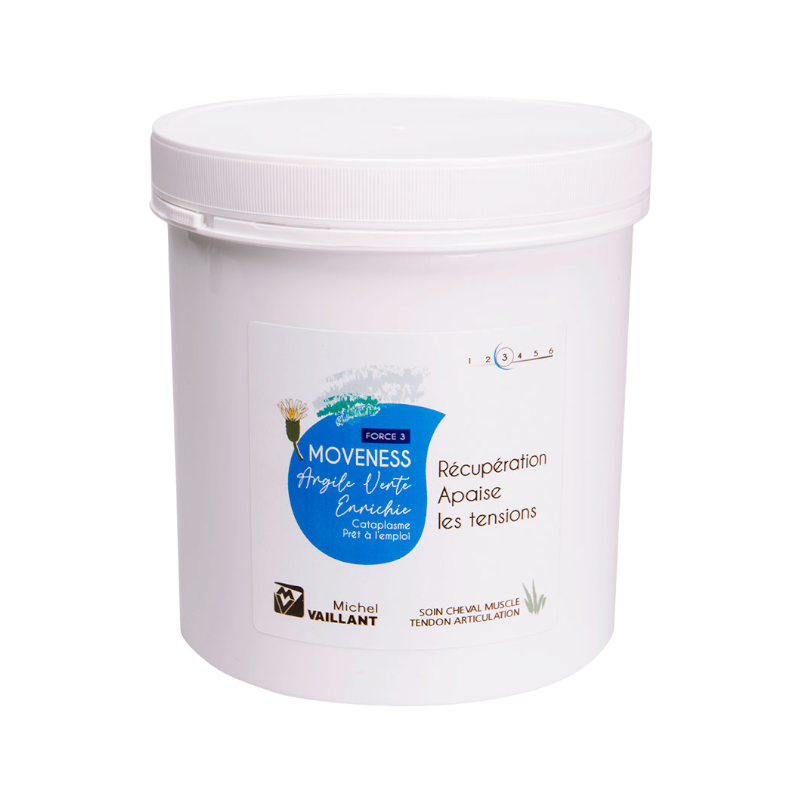 Michel Vaillant - Argile verte récupération Moveness enrichie | - Ohlala