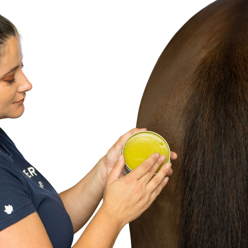 Michel Vaillant - Baume Bio plantain soulage les démangeaisons Horskin | - Ohlala