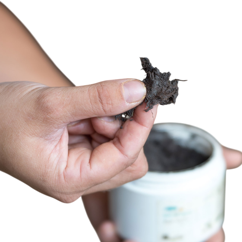 Michel Vaillant - Pâtes fibrée Bio argile verte soin fourchettes et lacune Bactifongic | - Ohlala