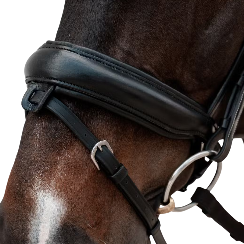 Dyon - Muserolle combinée Crank Matt noir