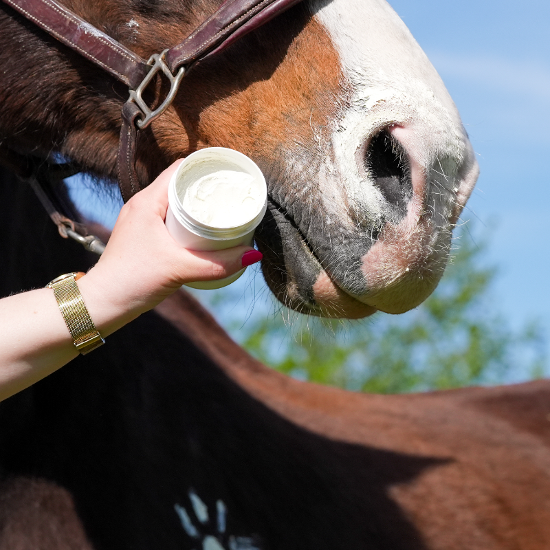 Natural' Innov - Crème solaire pour chevaux Natural'Sun | - Ohlala