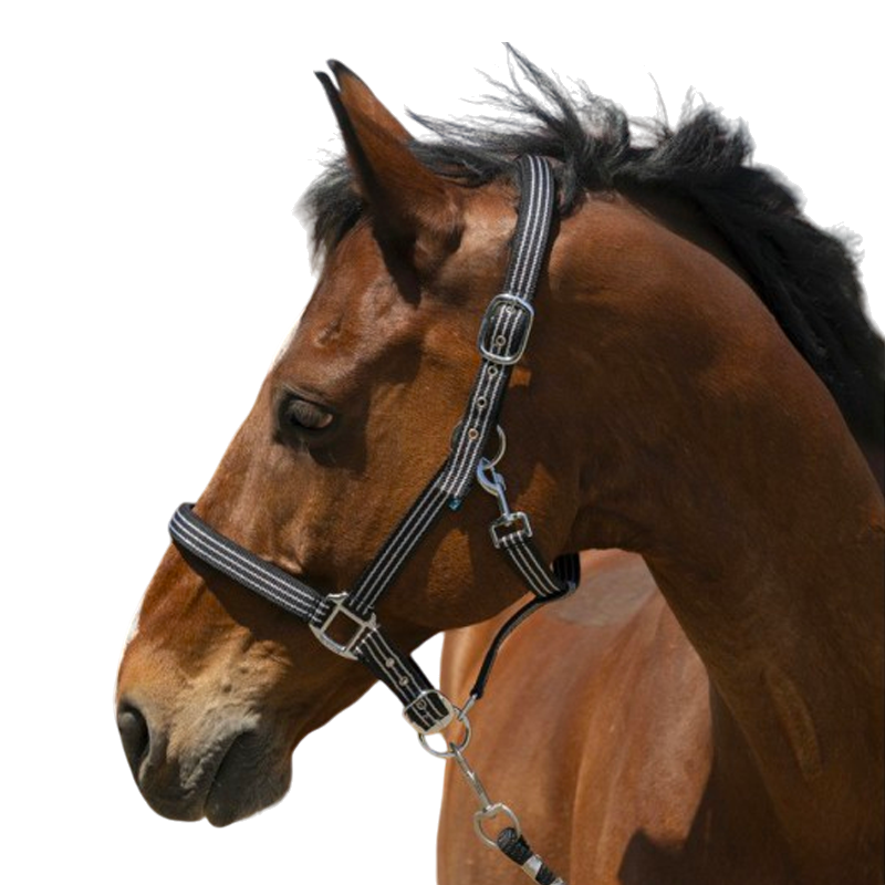 Norton - Licol Zari noir | - Ohlala