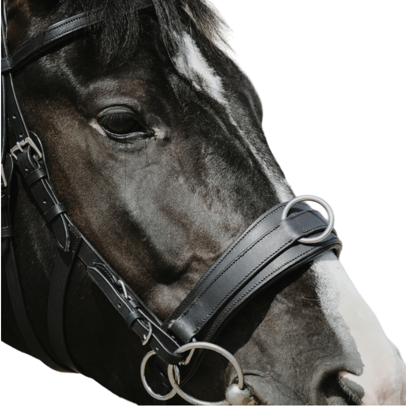 Norton - Caveçon large noir | - Ohlala