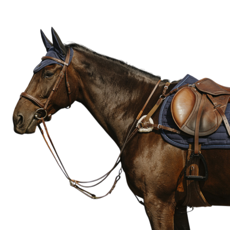 Norton - Collier de chasse 5 points havane | - Ohlala