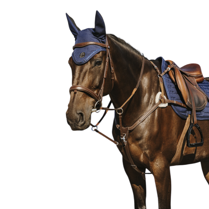 Norton - Collier de chasse 5 points havane | - Ohlala