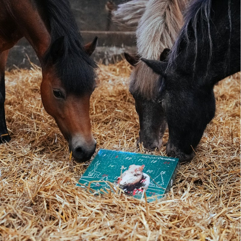 Natural' Innov - Calendrier de l'avent Natural'Christmas Gourmet 2025 | - Ohlala