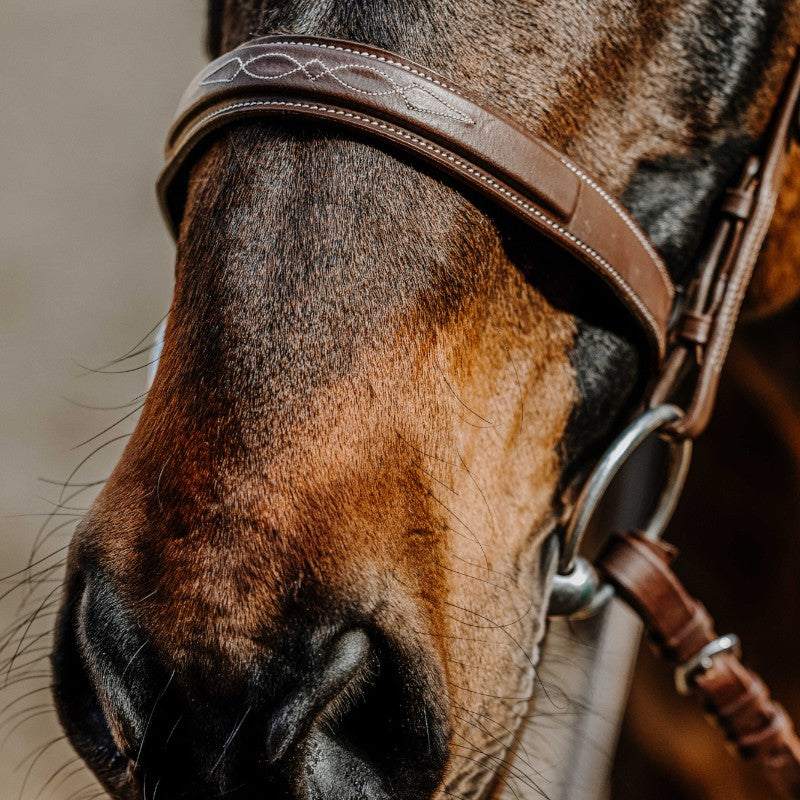 Norton - Bridon Hunter en cuir havane | - Ohlala