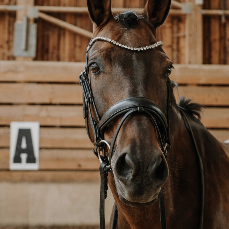 Norton - Bridon de dressage Diams noir | - Ohlala